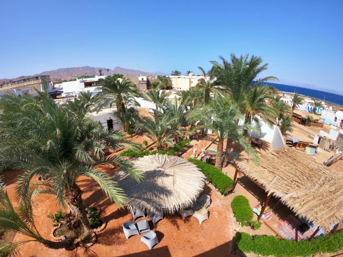 فندق Miramar Camp دهب المظهر الخارجي الصورة