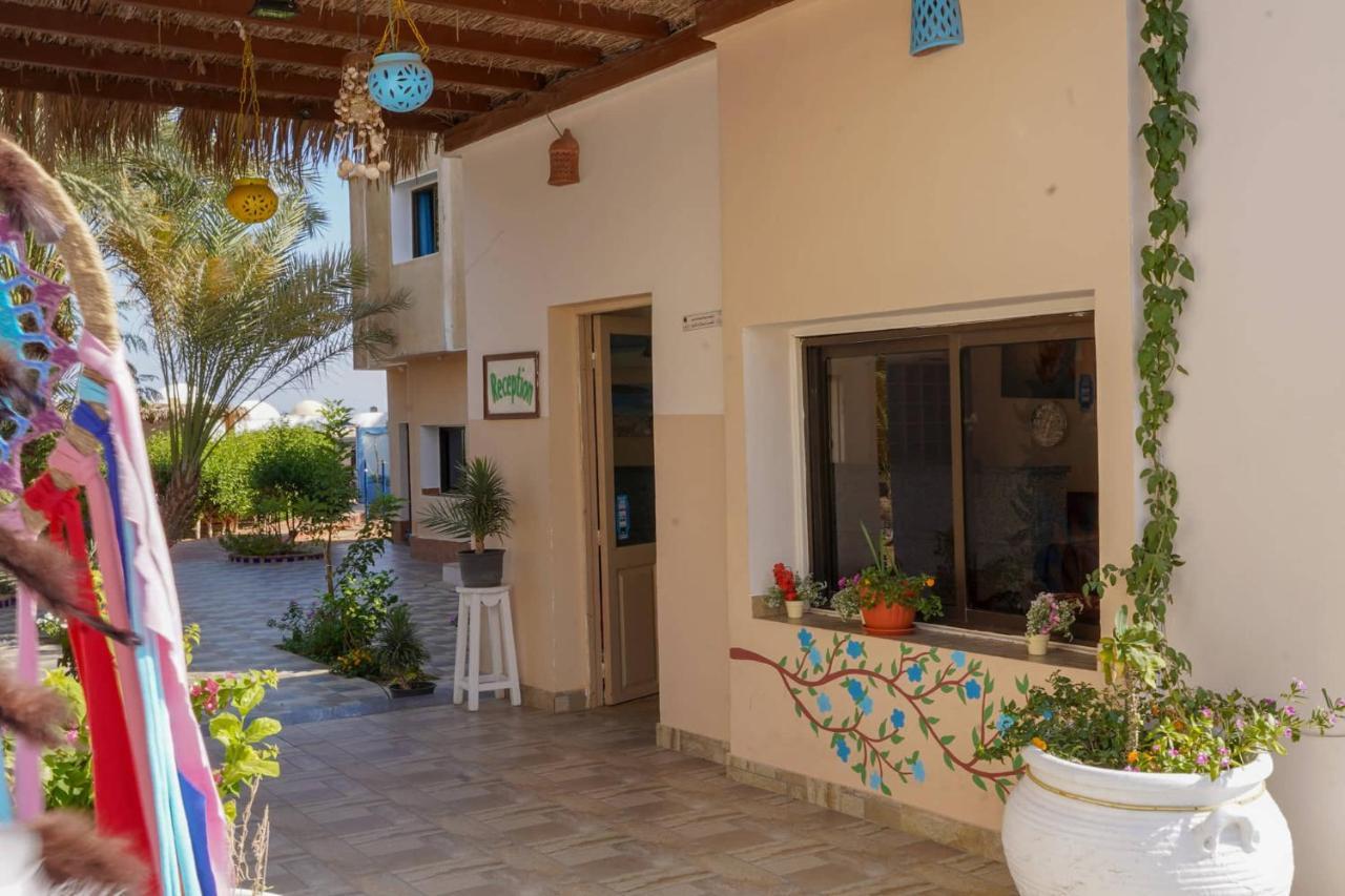 فندق Miramar Camp دهب المظهر الخارجي الصورة