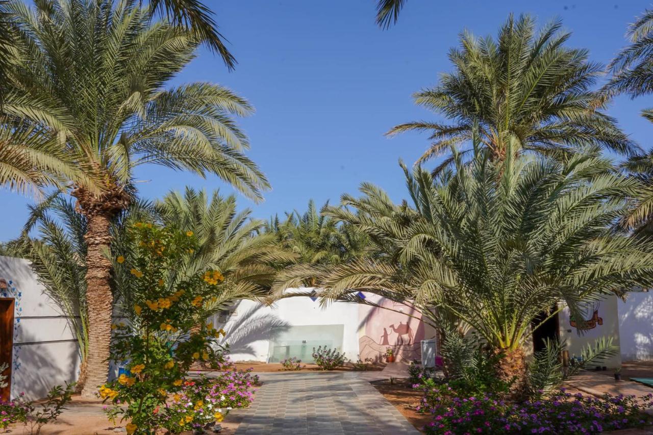 فندق Miramar Camp دهب المظهر الخارجي الصورة