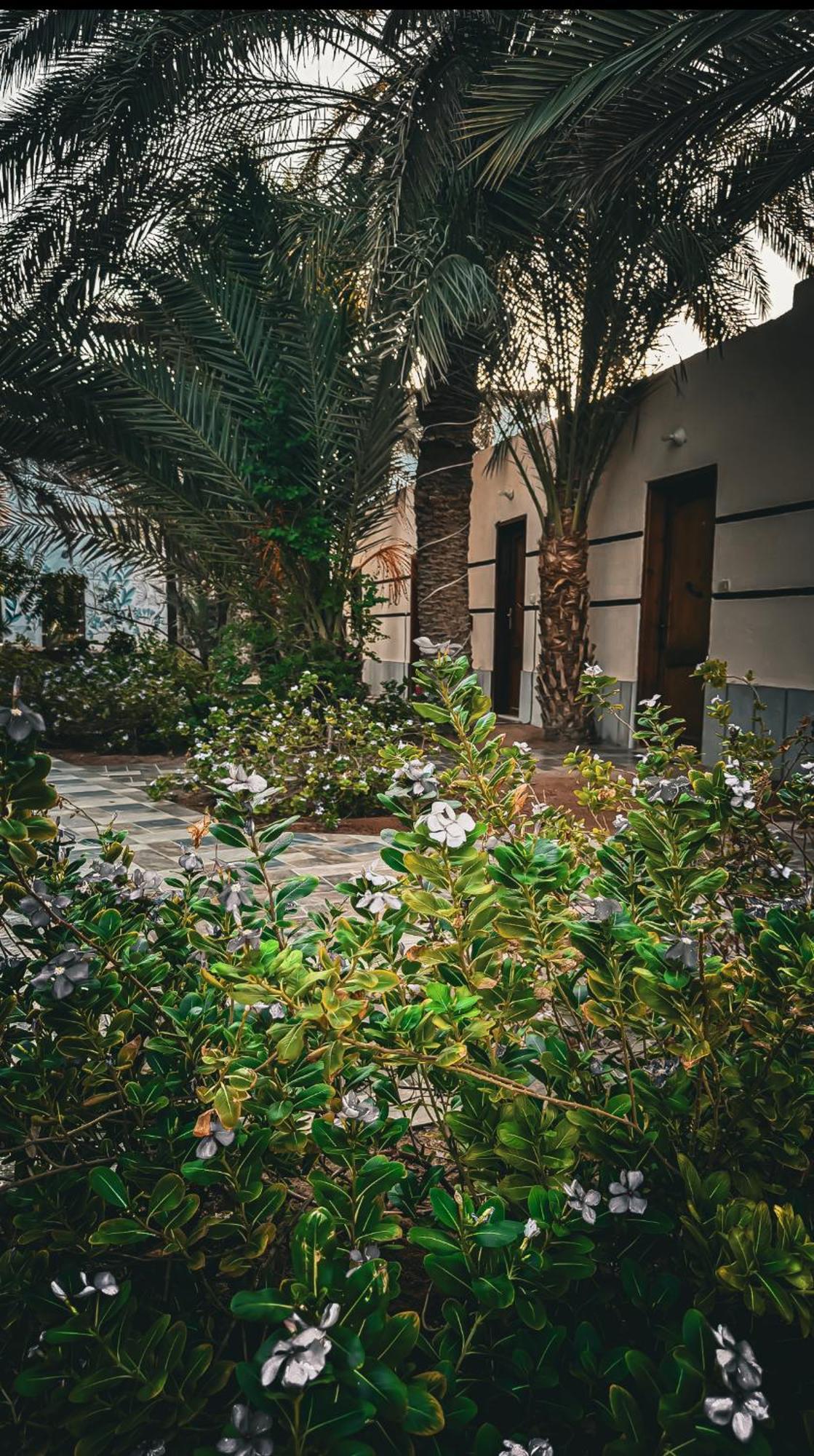 فندق Miramar Camp دهب المظهر الخارجي الصورة