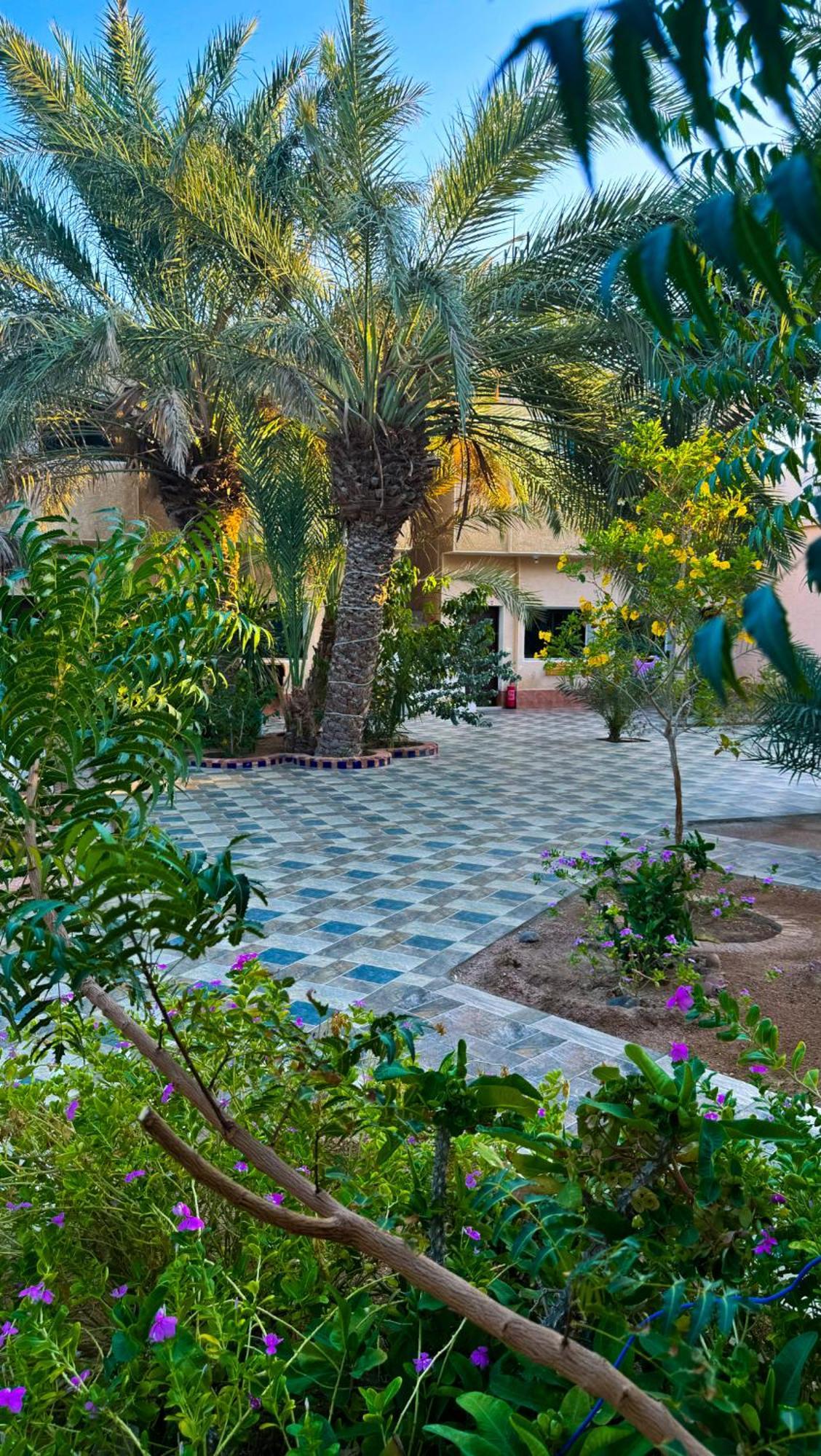 فندق Miramar Camp دهب المظهر الخارجي الصورة
