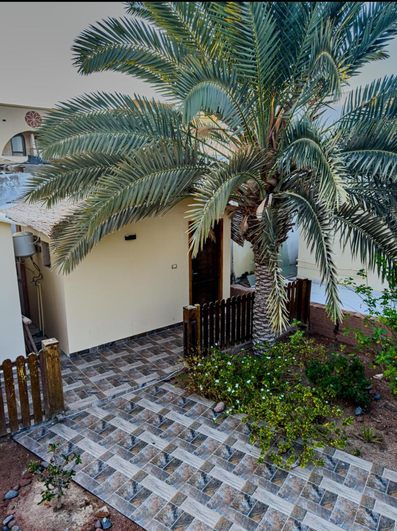 فندق Miramar Camp دهب المظهر الخارجي الصورة