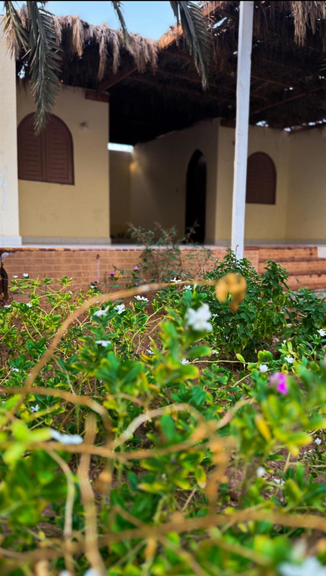 فندق Miramar Camp دهب المظهر الخارجي الصورة