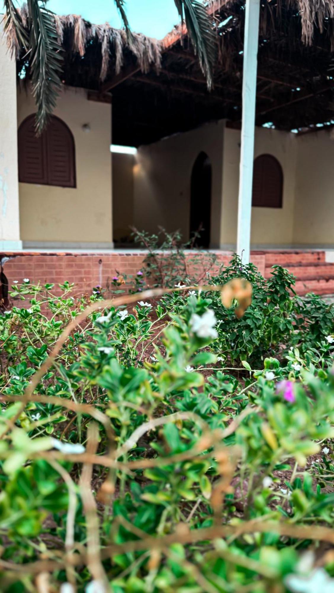 فندق Miramar Camp دهب المظهر الخارجي الصورة