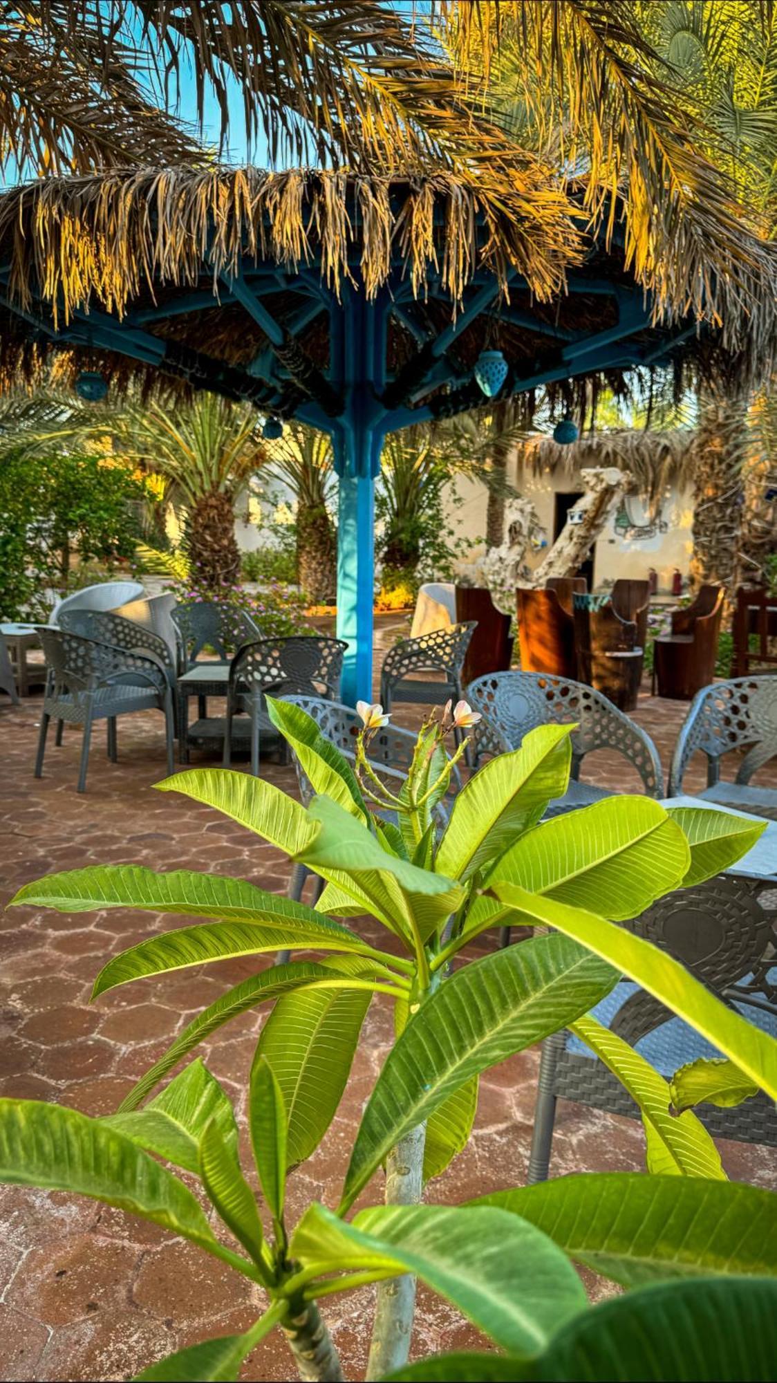 فندق Miramar Camp دهب المظهر الخارجي الصورة