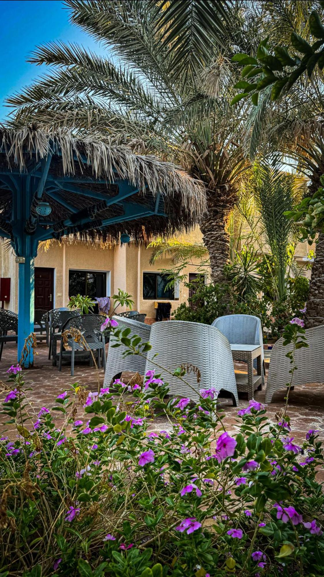 فندق Miramar Camp دهب المظهر الخارجي الصورة