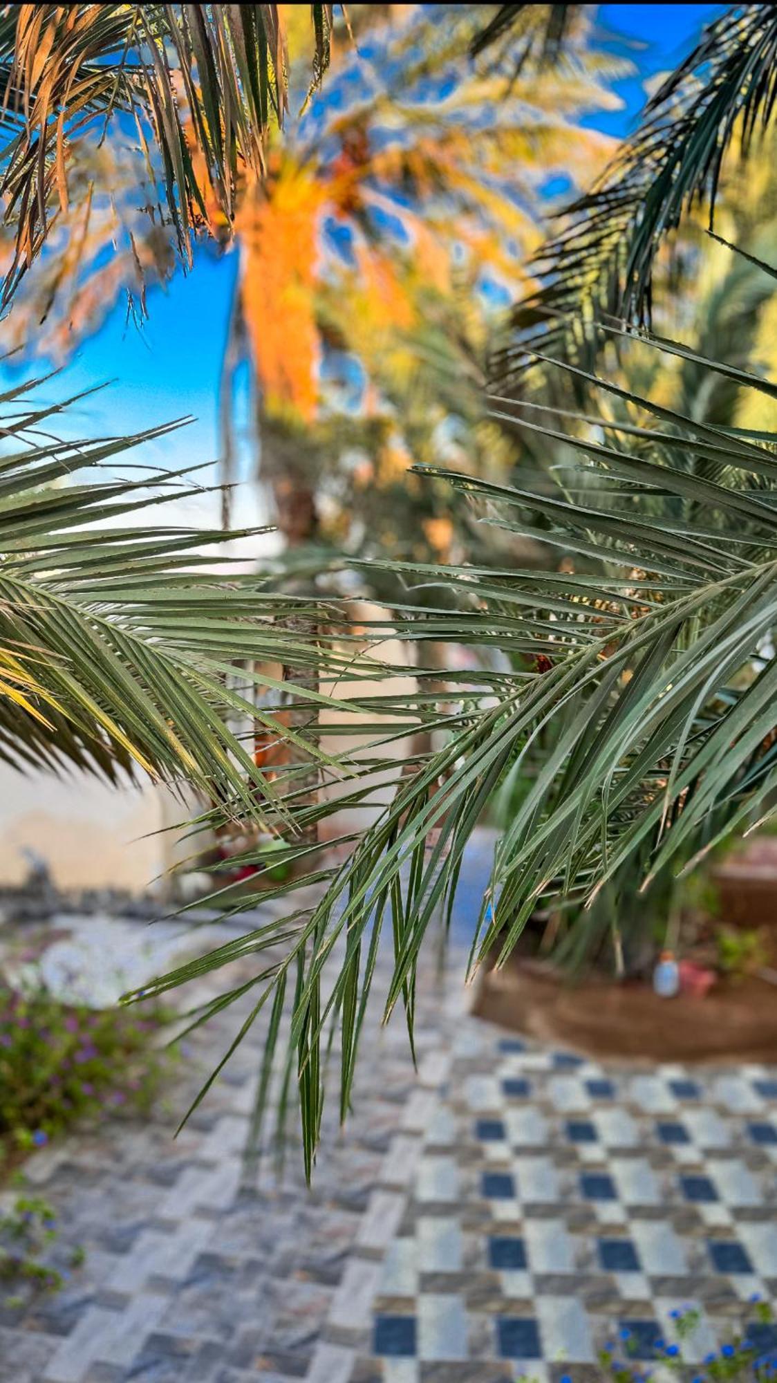 فندق Miramar Camp دهب المظهر الخارجي الصورة