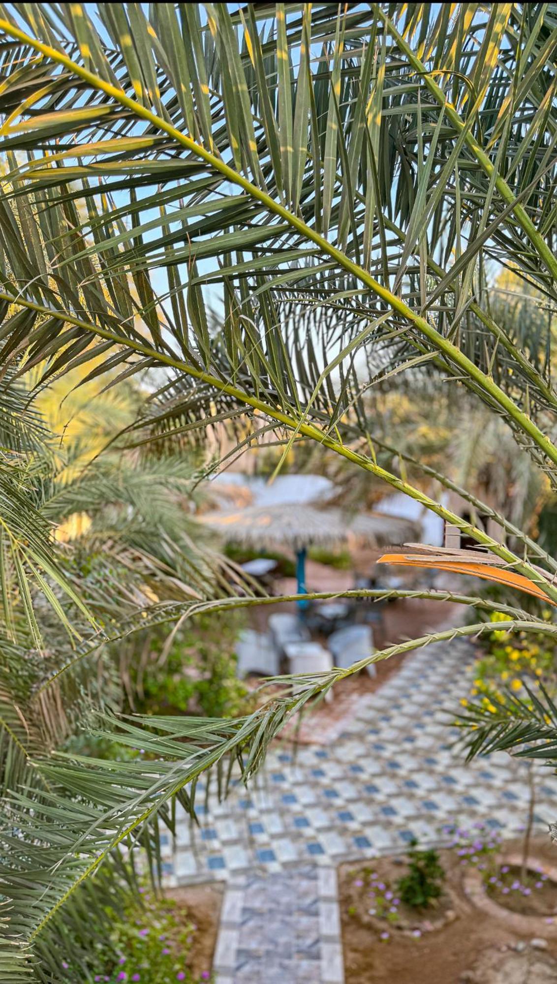 فندق Miramar Camp دهب المظهر الخارجي الصورة