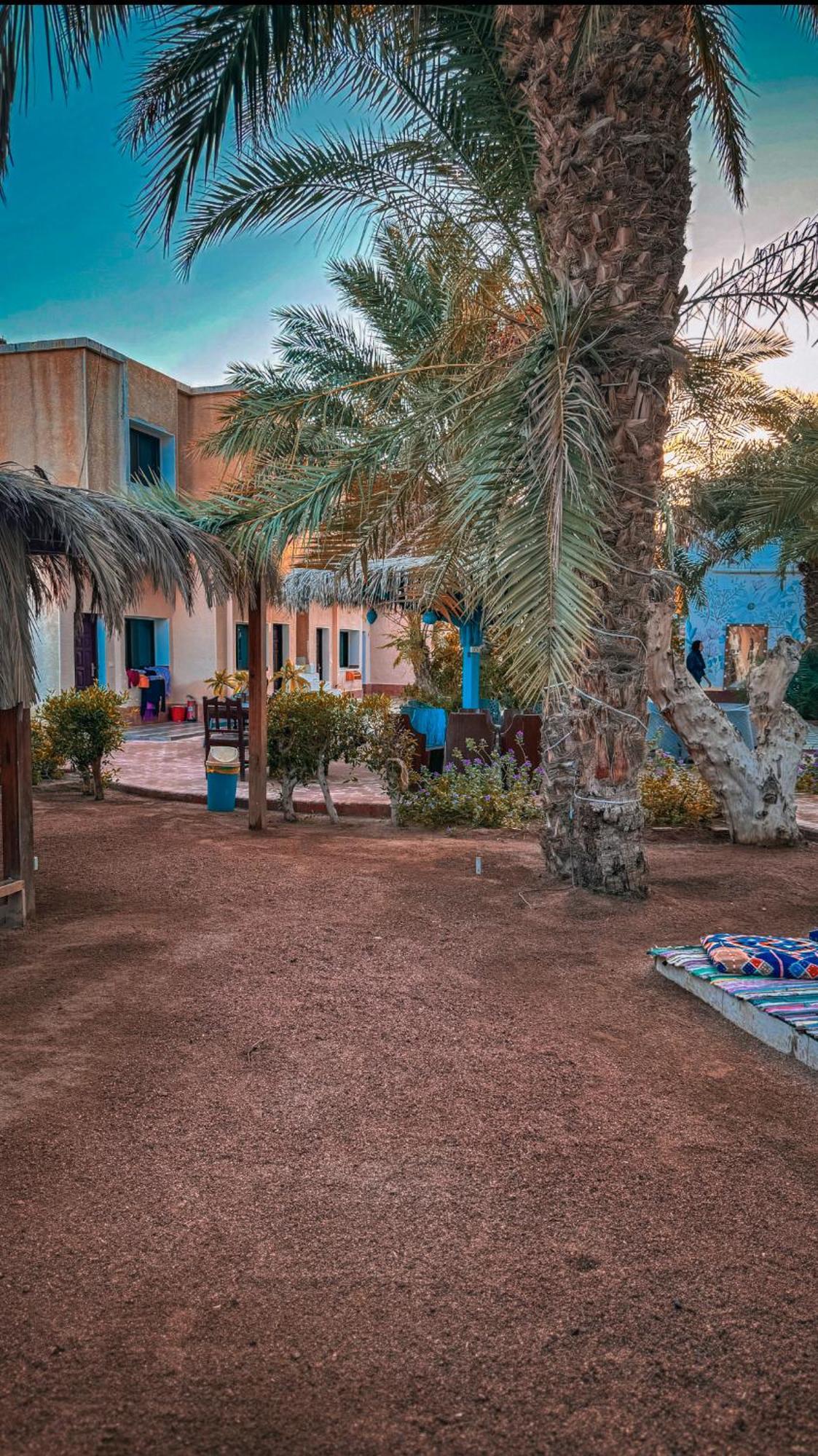 فندق Miramar Camp دهب المظهر الخارجي الصورة