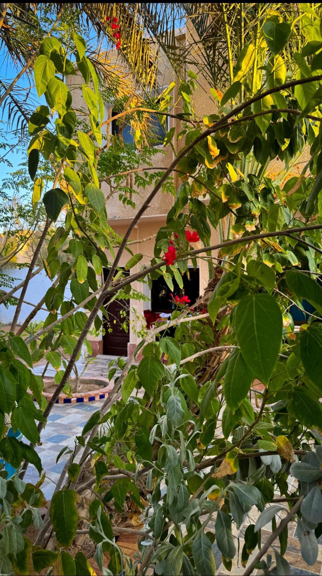 فندق Miramar Camp دهب المظهر الخارجي الصورة