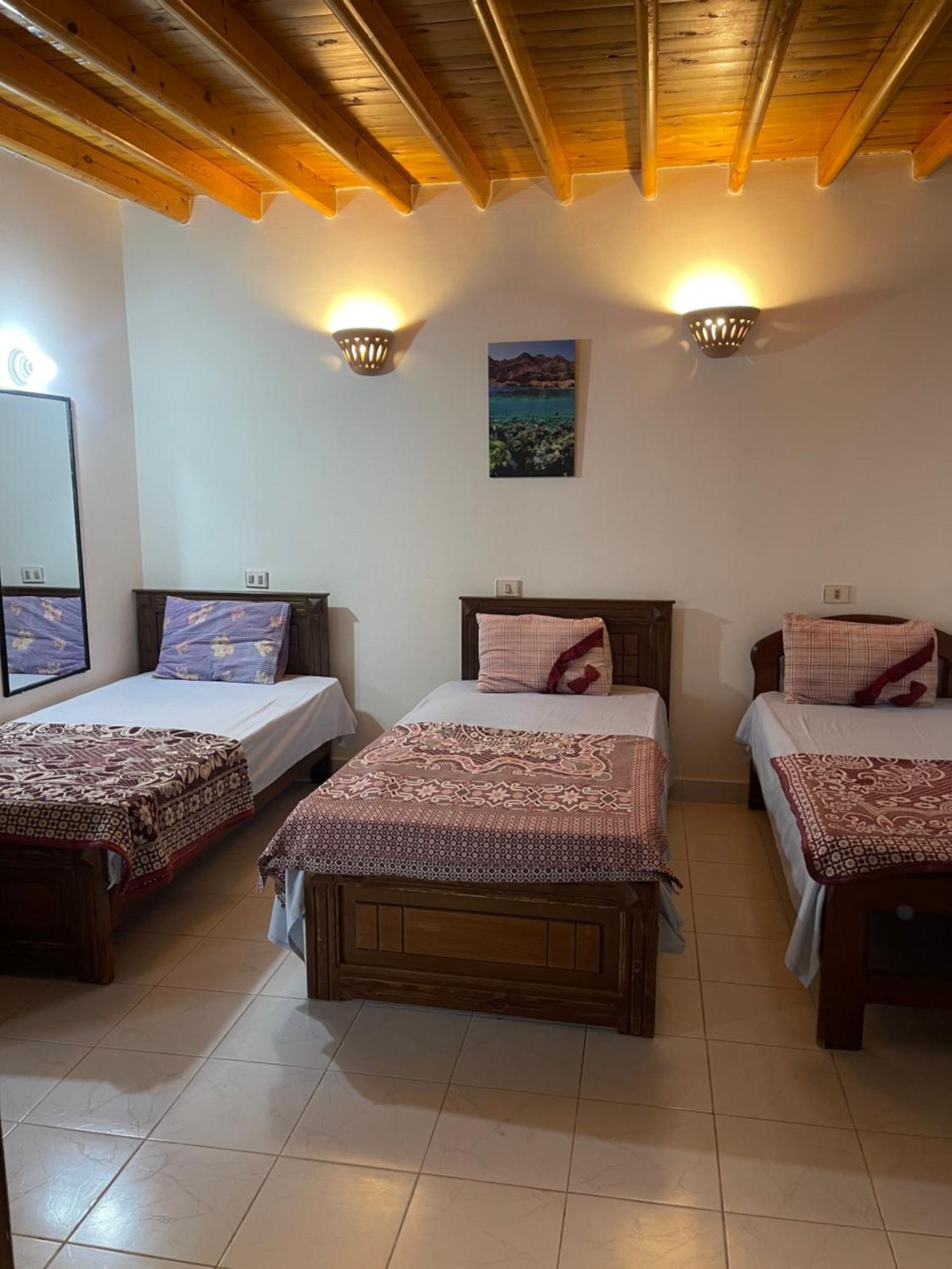فندق Miramar Camp دهب المظهر الخارجي الصورة