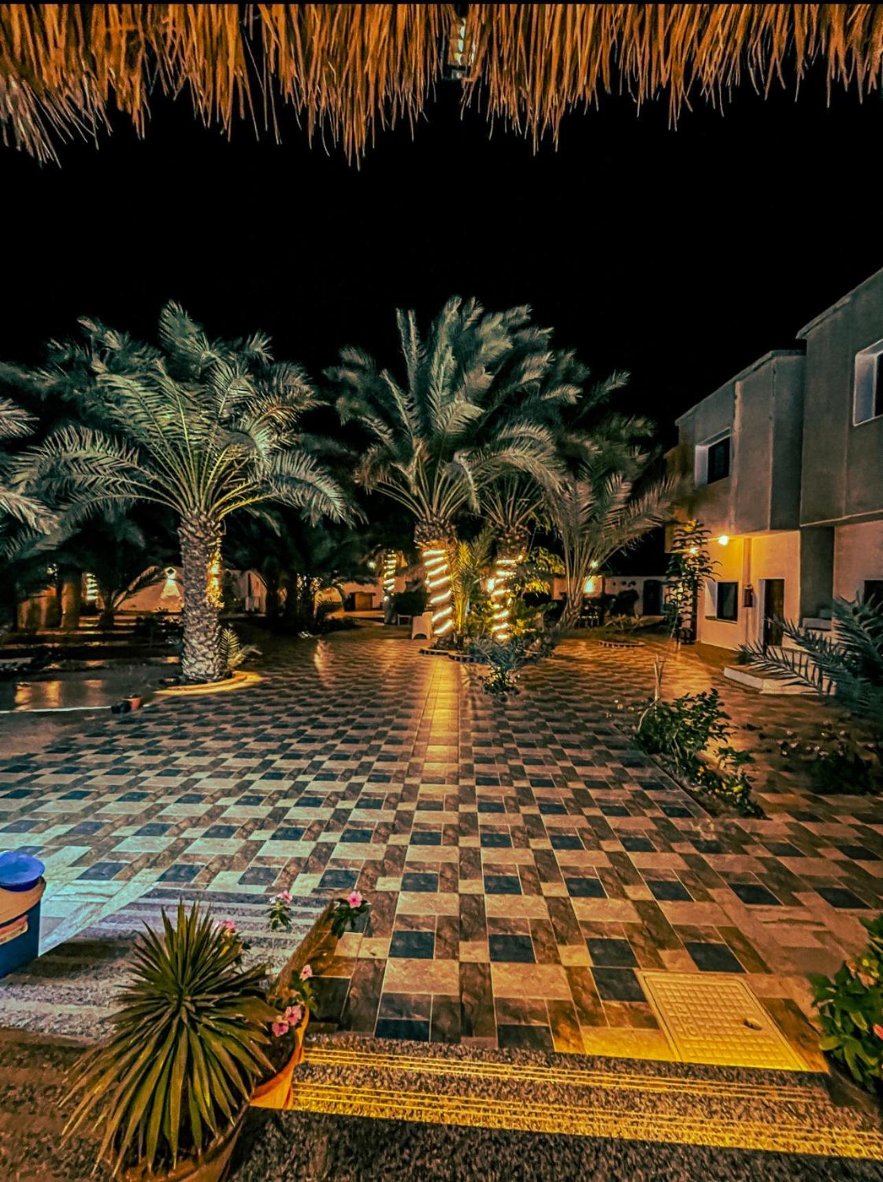فندق Miramar Camp دهب المظهر الخارجي الصورة