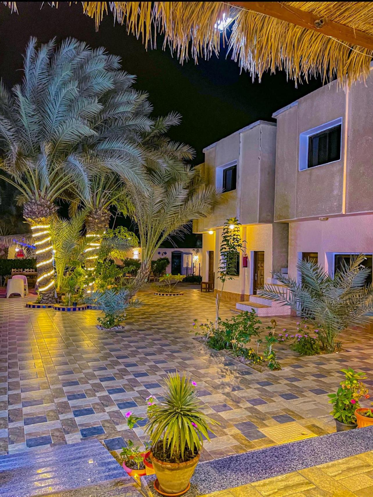 فندق Miramar Camp دهب المظهر الخارجي الصورة