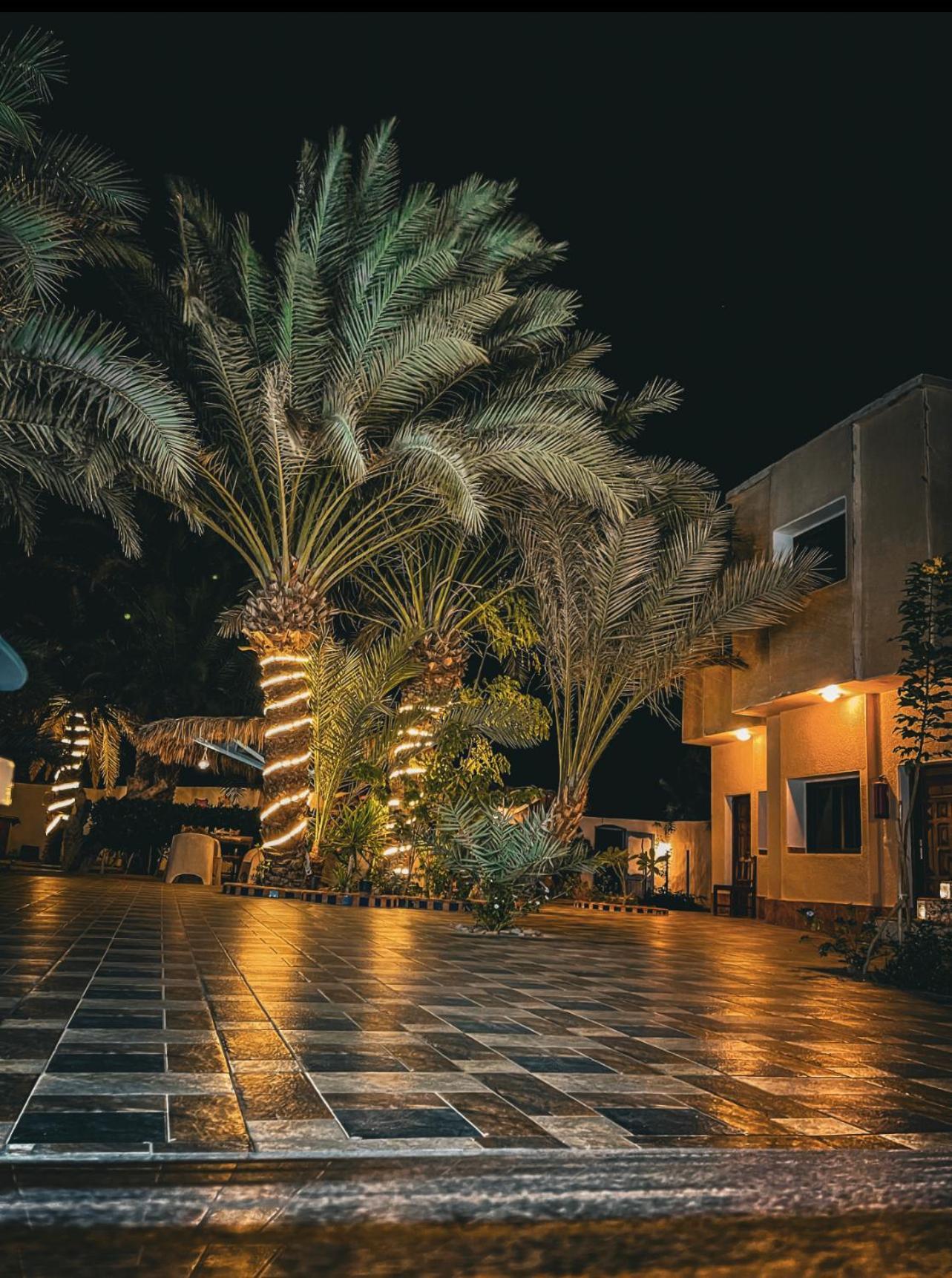 فندق Miramar Camp دهب المظهر الخارجي الصورة