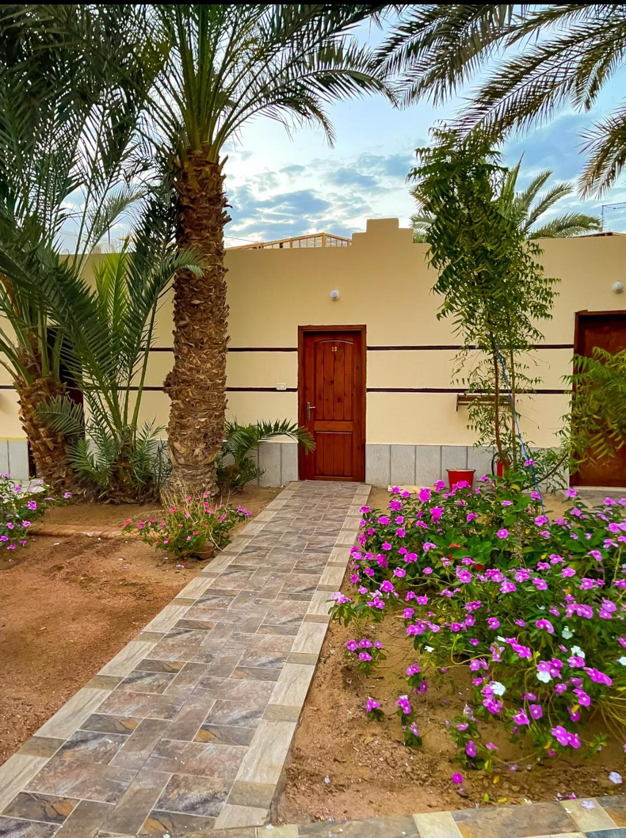 فندق Miramar Camp دهب المظهر الخارجي الصورة