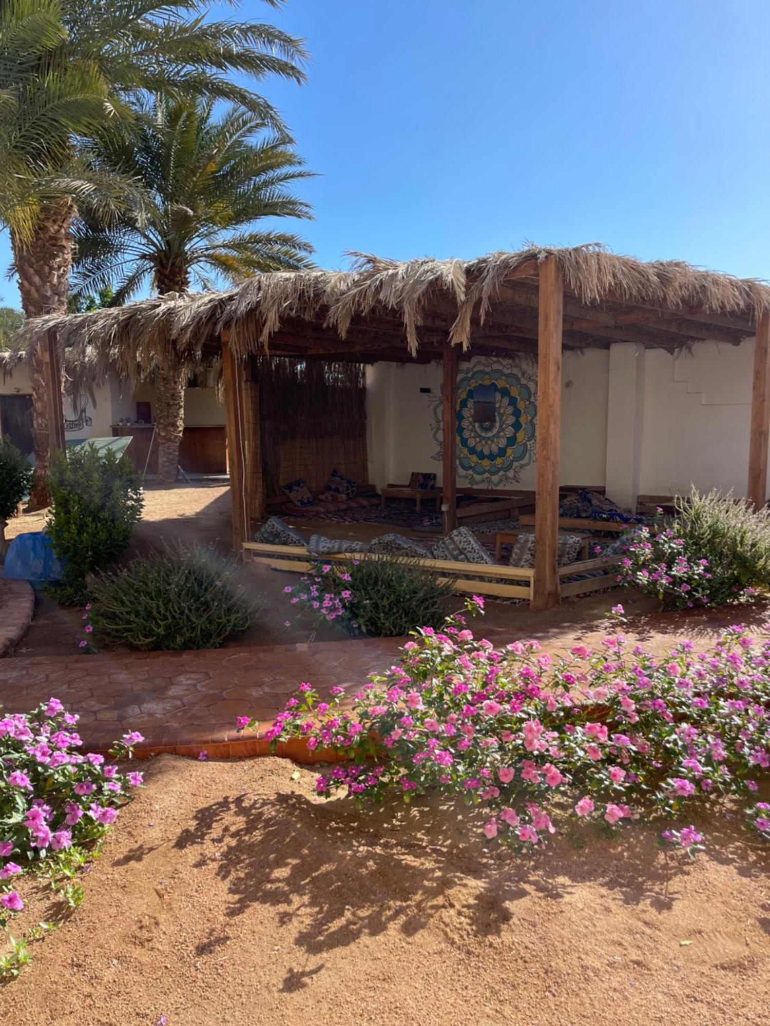 فندق Miramar Camp دهب المظهر الخارجي الصورة