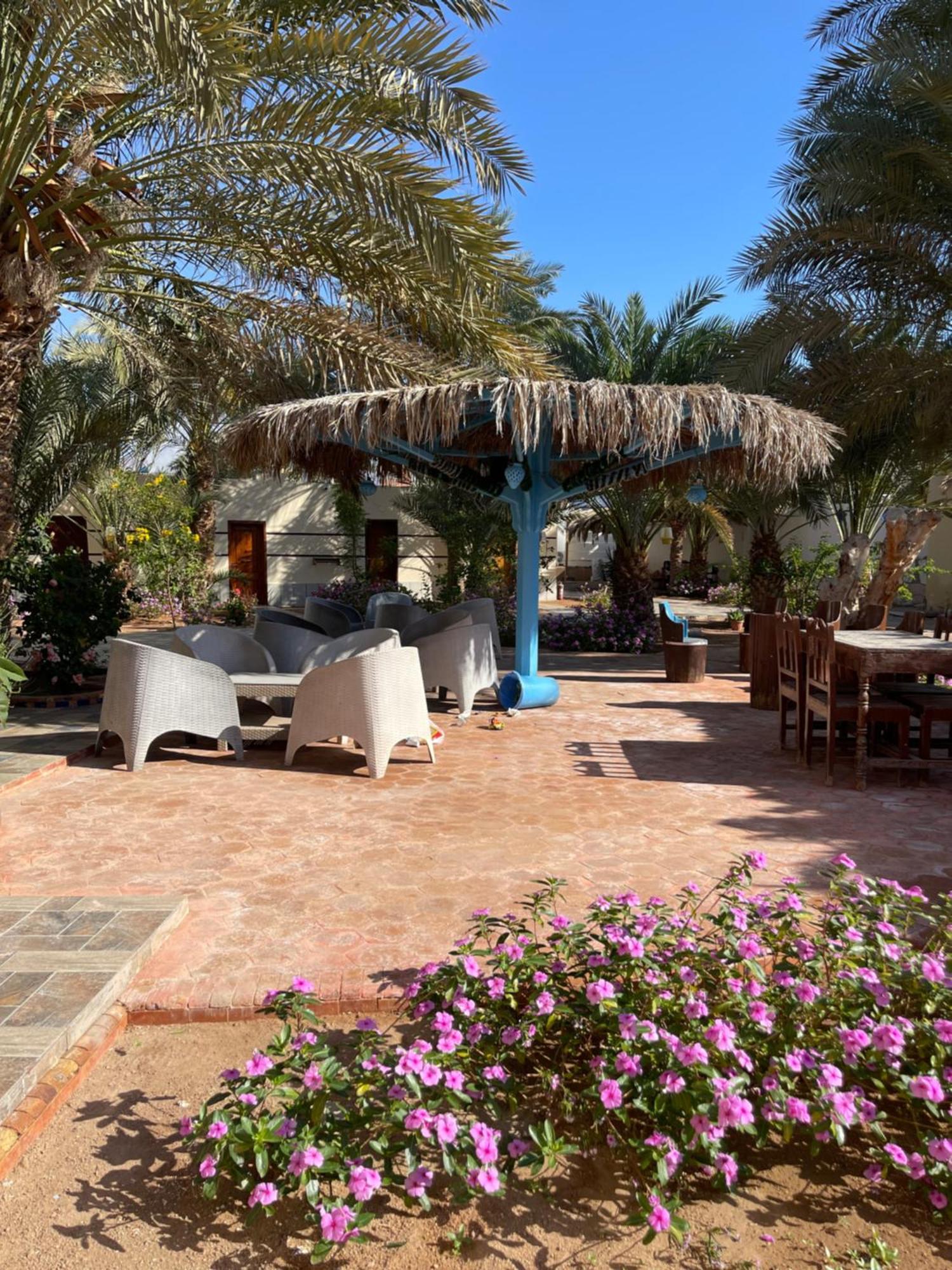 فندق Miramar Camp دهب المظهر الخارجي الصورة