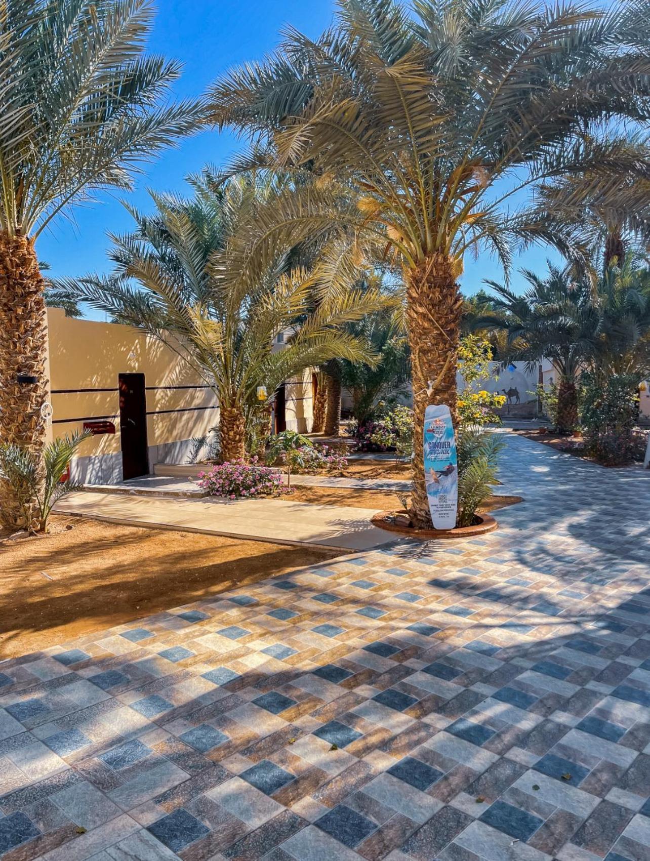 فندق Miramar Camp دهب المظهر الخارجي الصورة