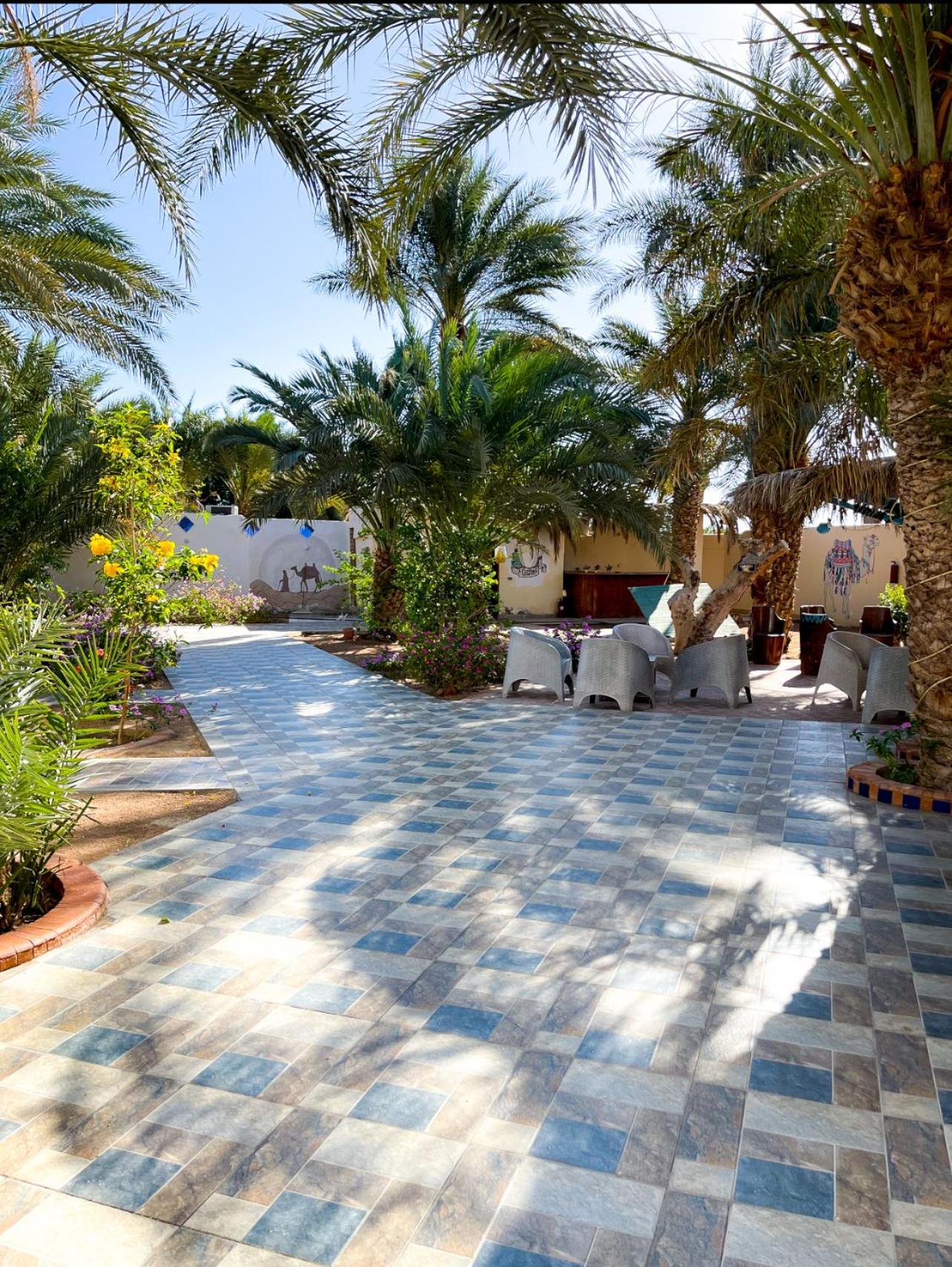 فندق Miramar Camp دهب المظهر الخارجي الصورة